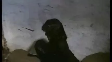 Російська порно відео українське трахкає в жопу з водієм.